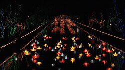 Lahore Canal during the spring Basant festival