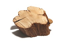 A section of rosemary stem, an example of a woody plant, showing a typical wood structure