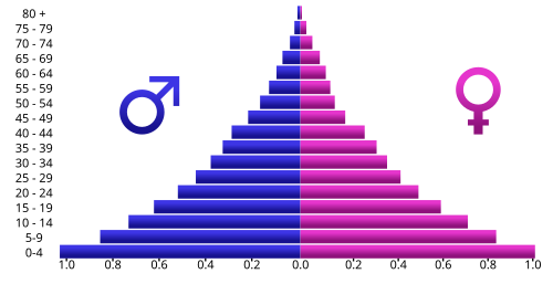 Population pyramid of Angola in 2005