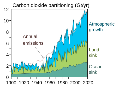 About 58% of CO2 emissions have been absorbed by carbon sinks, including plant growth, soil uptake, and ocean uptake (2020 Global Carbon Budget).