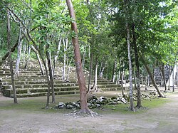 Structures in the South Group