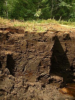 Peat