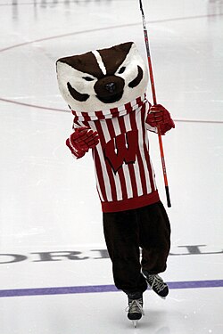 Bucky Badger