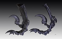 Cast of the holotype foot YPM 5205 from two angles