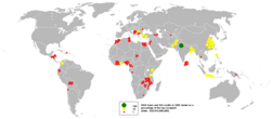 IBRD loans and IDA credits in 2005