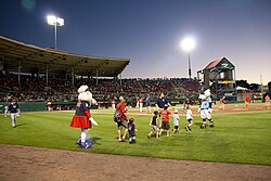 Minor League mascots at a Pawtucket Red Sox Triple-A game in Pawtucket, Rhode Island in August 2016