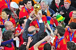 Puyol (bottom left) celebrating with Spain after their 2010 World Cup win