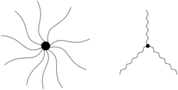 Star shaped polymers or copolymers