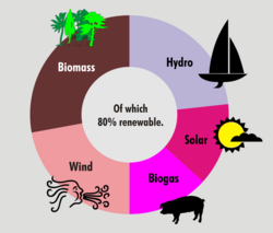 Information about the data as a hole in the center of a doughnut chart