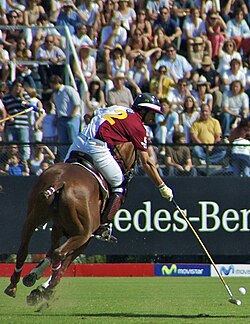 Argentine Polo Open Championship