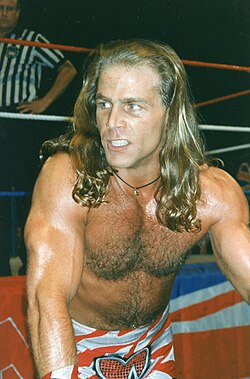 Shawn Michaels became one of the biggest stars in WWF during this time, since an iconic ladder match at WrestleMania X in 1994.[46]