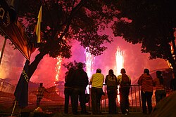 Spectators at Bicentennial fireworks in Colombia