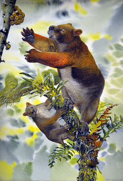 Reconstruction of the diprotodont marsupial Nimbadon lavarackorum.