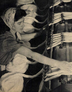 Woman operating a cotton roll machine at Uzinele Textile Timișoara, 1961. During Ceaușescu's time, labor force came to Timișoara from all over Romania[147]