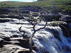 National Park of Serra da Canastra.