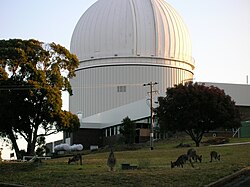 The Australian Astronomical Observatory in 2008 (then called the "Anglo-Australian Observatory"). The staff tea room is in the lower left corner and the workshop to the right. The kangaroos in the foreground are a common sight at dusk.