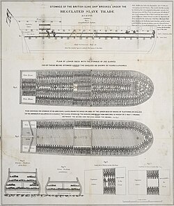 Plan of the British slave ship Brooks, 1788, showing how 454 slaves were accommodated on board after the Slave Trade Act 1788. This same ship had reportedly carried as many as 609 slaves and was 267 tons burden, making 2.3 slaves per ton.[1] Published by the Society for Effecting the Abolition of the Slave Trade