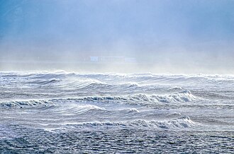 Sea spray containing microorganisms in marine plankton can be swept high into the atmosphere and may travel the globe as aeroplankton before falling back to earth.