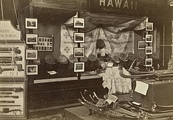 Hawaiʻi Division - Sandwich Islands (Nr. 1624); photography by György Klösz