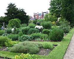 Chelsea Physic Garden, summer 2006