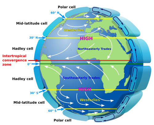 3D map showing Hadley cells in relationship to trade winds on the surface