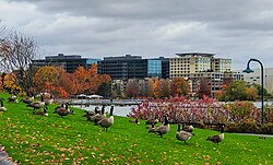 Renton skyline along Lake Washington, featuring the Southport development