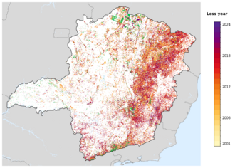 Map of Minas Gerais showing tree-cover loss years, with forest remaining since 2000 in green and loss years shaded yellow through purple.