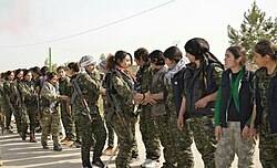 Women's Protection Units in November 2014