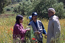 Two conservationists collecting indigenous knowledge on cultural practices that favour CWR populations, from a farmer near Fes, Morocco.
