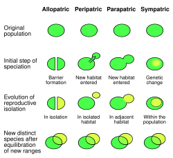 Examples of speciation affecting gene flow