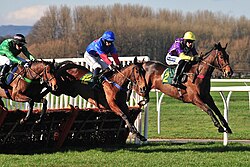 Race horses hurdling at Bangor