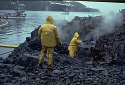 Exxon Valdez oil spill cleanup