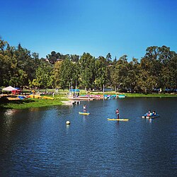 Summer boating on Vasona Lake