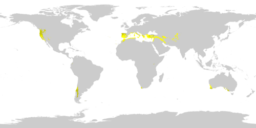 Regions where the dry-summer subtropical or Mediterranean climates (Csa, Csb) are found as of 1991-2020, using the −3 °C (27 °F) threshold for the coldest month. Csa Csb Csc