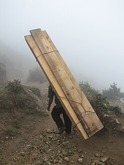 Human-powered transport remains common in developing countries.[14][15]