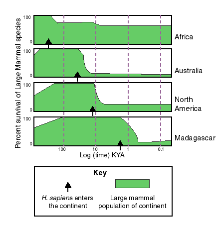 Biodiversity of large mammal species per continent before and after humans arrived there