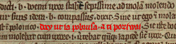 The Book of Henryków is the earliest document to include a sentence written entirely in what can be interpreted as Old Polish – Day, ut ia pobrusa, a ti poziwai, meaning "let me grind, and you have a rest" highlighted in red.