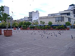 The center of Plaza Montenegro