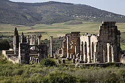 Roman ruins of the city of Volubilis, which once served as the capital of Mauretania and the Idrisids