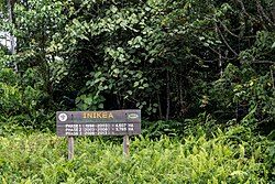 The INIKEA Forest Rehabilitation Project in Sabah, Malaysia, a major environmental initiative funded by IKEA to restore degraded rainforest landscapes in the Maliau Basin