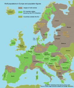 All populations, except that of Italy, are made up of the Eurasian wolf. The Canis lupus italicus has been defined as a separate subspecies. A mixture of the European subspecies is desirable from a population-biological point of view, as it increases genetic diversity.