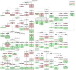Indo-European family tree in order of first attestation. Hittite belongs to the family of Anatolian languages and the oldest written Indo-European language.