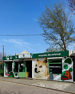 A painting of the Doge (Pieseł) on the wall of a pet shop in Łódź, Poland