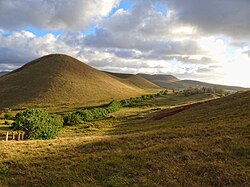 Typical landscape on Easter Island; rounded extinct volcanoes covered in low vegetation.