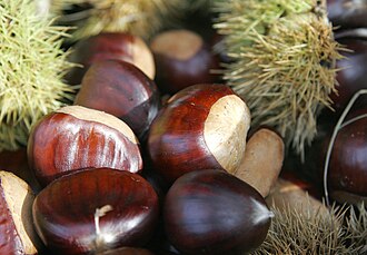 Sweet chestnuts
