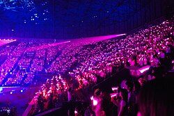 A Girls' Generation concert in 2010
