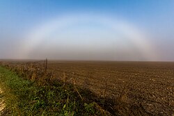 Fogbow over a field