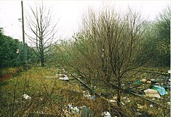 Both Wednesbury Town railway station and the South Staffordshire Railway were closed, and were still in ruins in 2003.