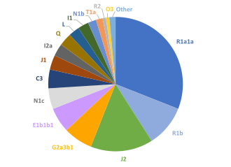 Gene pool (Y-DNA) of the Crimean Tatars.[70][71]