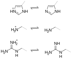 Functional groups found in histidine (top), lysine (middle) and arginine (bottom) in their charged (protonated) and uncharged forms